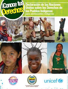 Declaración de las Naciones Unidas sobre los Derechos de los Pueblos Indígenas