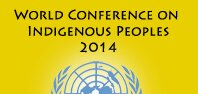 World Conference on Indigenous Peoples 2014