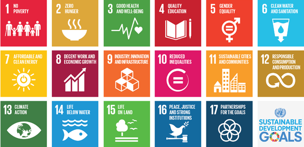 Sustainable Development Goals (SDGs)